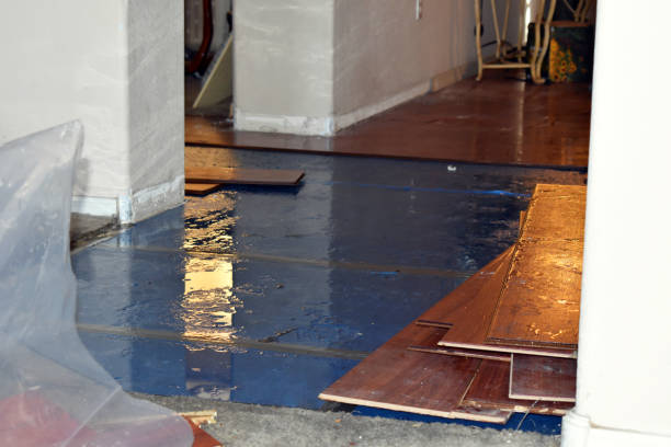 Professional Sewage Cleanup technician working in Otter Lake, MI